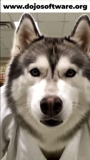 Martial Arts School Management: Dojo Software Review! #shorts