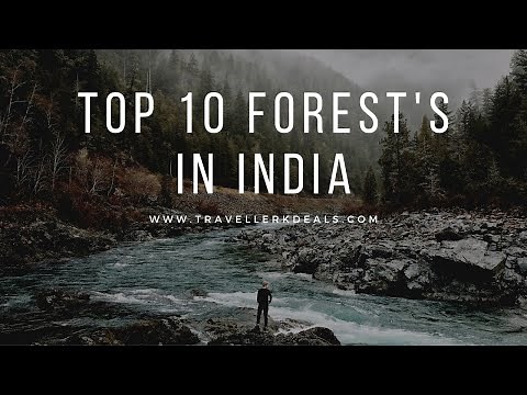 Top 10 forest in India | Forest in india | Wildlife | Flora and fauna of India | Indian Forest |