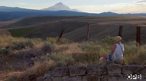 62K views · 625 reactions | One of Oregon Field Guide's favorite destinations they visited in 2016: Dufur, Oregon. Host Steve Amen produced this love letter to the tiny town without a stoplight. | OPB | Facebook