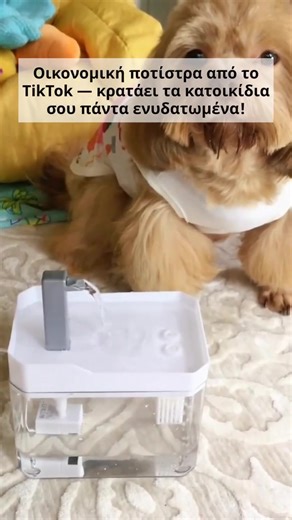 😿 Τα κατοικίδια συχνά πίνουν λίγο από συνηθισμένα μπολ. 🐾 Το ρέον ρεύμα ενθαρρύνει το φυσικό ένστικτο πόσης! 🔇 Υπερ-ήσυχο, χωρίς ακαταστασία, καθαρίζεται εύκολα σε δευτερόλεπτα! Παραγγείλτε παρακάτω– το κατοικίδιό σας θα σας ευχαριστήσει!👇 | Frilla