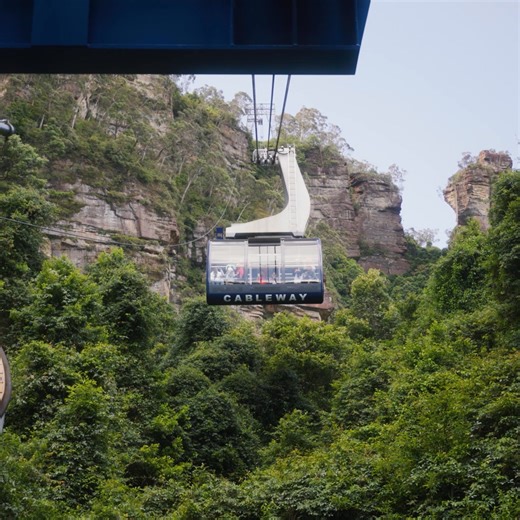 Unlimited rides on the Scenic Skyway, Cableway and world's steepest railway. Explore over 2kms of rainforest boardwalks. | Scenic World Blue Mountains