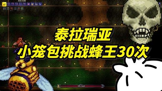 【泰拉瑞亚】蜂王挑战竟翻车30次？