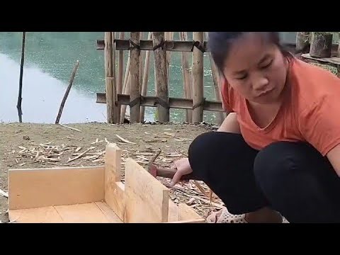 A New Family Member… So I Built Them a House!