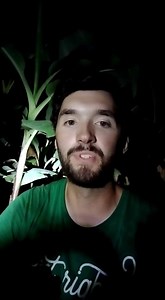 13 reactions | It looks and tastes like a tropical paradise with these Blue Java Bananas at A Land of Delight Natural Farm & Nursery! Did you know they are also known as the Ice Cream Banana?  #BlueJavaBliss #ALandOfDelight #IceCream #Bananas #FruitTrees #FoodForest | A Land of Delight Natural Farm & Nursery | Facebook