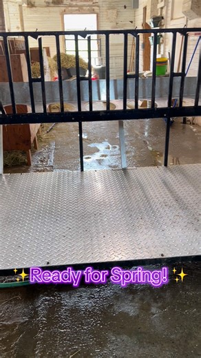 A clean milk stand is a happy milk stand #showgoats #dairygoats #RingsidePodcast #agriculture #goatsofig #farmlife #FarmLife #LivestockFarming #Agriculture #dairy #countrylife #funny #red #redcupday #starbucks #goats #goatsmilk #goatsofinstagram #country #funnyanimals #farmhouse #farm #dairygoatpodcast #GoatBreeding #CommercialDairy #DairyGoats | Ringside: American Dairy Goat Podcast