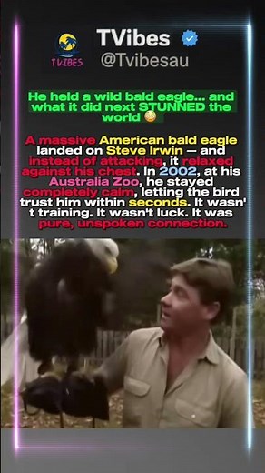 He Held a Wild Bald Eagle — What It Did Next Stunned the World