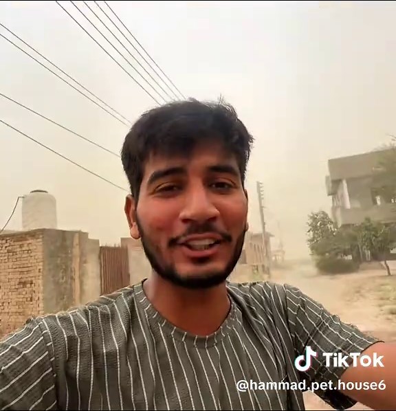 Explore Hammad's Pet House: A Fun Pet Vlog