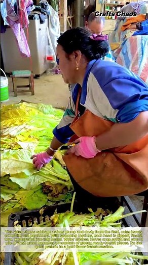 Mastering Chinese Preserved Vegetables: Cabbage Cleaning and Tearing Guide