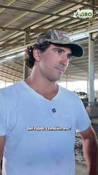 ¿POR QUÉ SE ROBOTIZAN LOS TAMBOS?