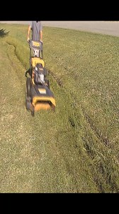 This ditch was a bit too wet for the big mower, and too big for the string trimmer so I used my Cub Cadet 33. #mowing #satisfying #lawncare #lawn #grass | Something 2LookAt