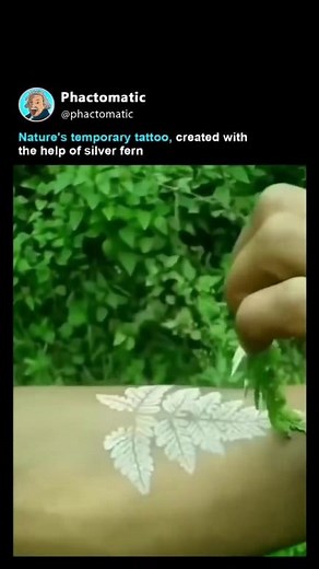 2.8M views · 10K reactions | Natures temporary tattoo, create with...