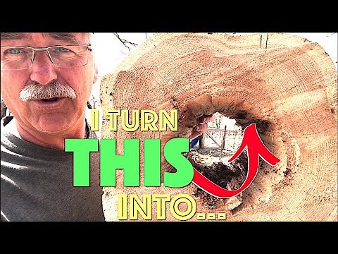 Turning a HOLLOW LOG into THIS...