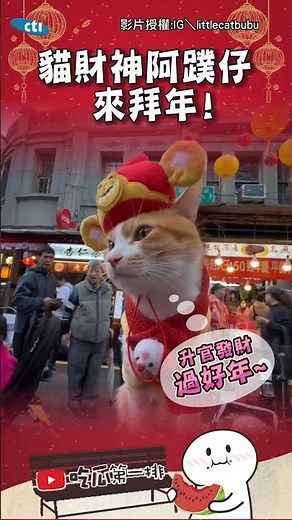 【招財貓來了】貓界小鮮肉扮財神爺來拜年！送上「五色錢」祝大家開工馬上有錢～‪@中天新聞CtiNews‬