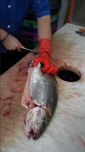 How to Butterfly Salmon Fillet With One Knife