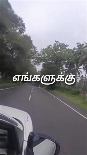சிட்டுக்குருவியின் பிள்ளைகளட இங்கே#songs #love #nature #tamil # Prasanth hits #90shits#
