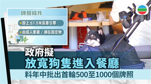 【狗隻進入餐廳】 《#施政報告》提出，容許狗隻進入食肆，政府今年首季會向立法會提交修例建議，預計年中批出第一批最多一千個相關牌照。#寵物狗 須符合甚麼條件，才可與主人一起在餐廳用餐？ 報道：https://news.tvb.com/tc/local/69817709e366b477d9bc4159 ------------------------------- 【立即下載】全新《TVB 新聞＋》App 跨越新聞領域，緊貼生活娛樂！世界資訊一手掌握 📲 iOS: https://tinyurl.com/53fkwkfd Android: https://tinyurl.com/ywkuthx5 Huawei: https://tinyurl.com/kjb4sfrj | 無綫新聞 TVB News
