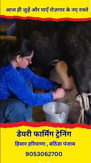 Modern Dairy Farm Training | High Profit Dairy Business | Milk Production Tips |
