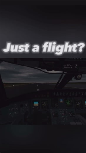 Typical flight in infinite flight🙏 #aviation #aviationlovers #infiniteflight