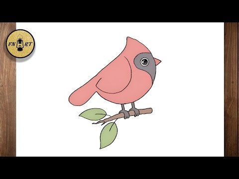 How to draw a cardinal on a branch
