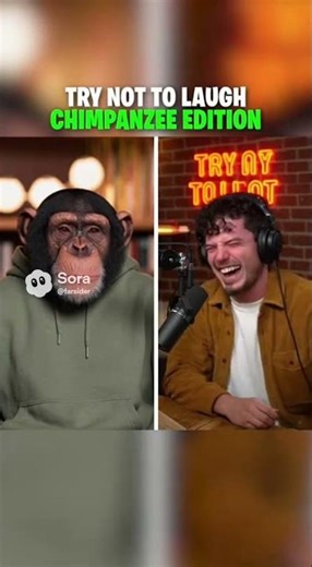 Try Not To Laugh... #funny