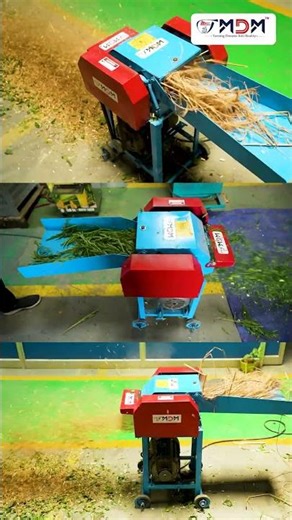 Top-Selling Chaff Cutter – Easy to Operate & Durable #shorts #trending #chaffcutter
