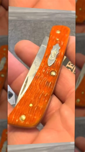 Case Tequila Sunrise Bone is back! #edc #case #knivesout #blade