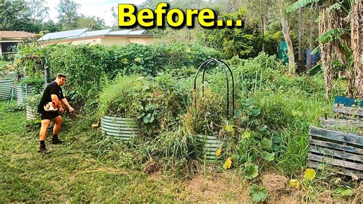 Overgrown garden rescue: Reclaiming hidden harvests after the flood!
