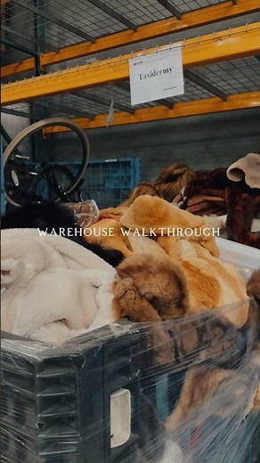 Warehouse Walkthrough