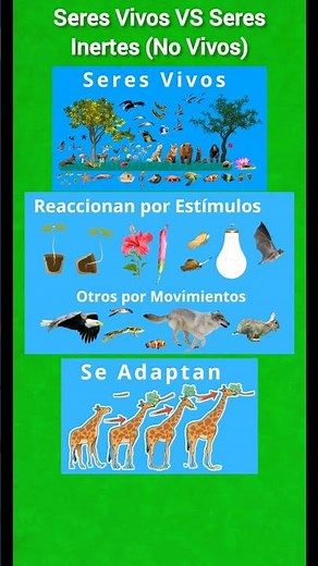 Differences Between Living Things vs Non-Living Things #biology