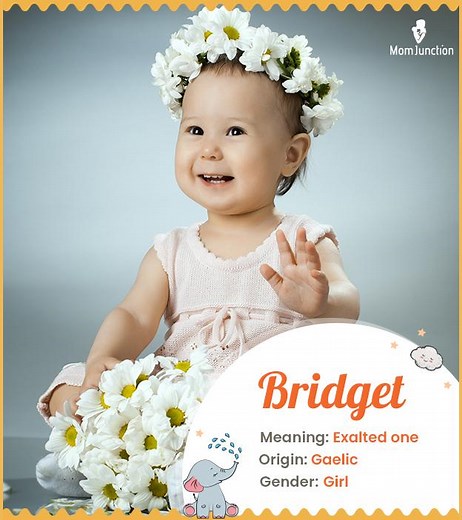 Bridget Name Meaning, Origin, History, And Popularity