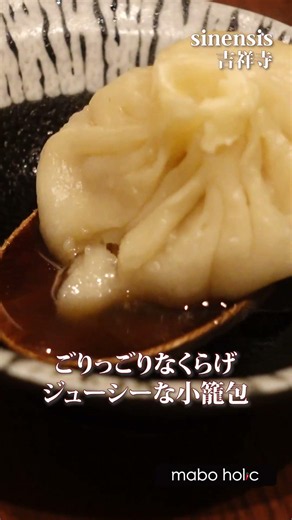 【吉祥寺】知らないと損！美味しい準高級中華 シネンシス sinensis #shorts #吉祥寺ランチ #吉祥寺グルメ #麻婆豆腐