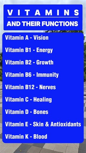 Vitamins And Their Functions