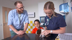 CBeebies - Ferne and Rory's Vet Tales, Series 2, Bonbon the Guinea Pig
