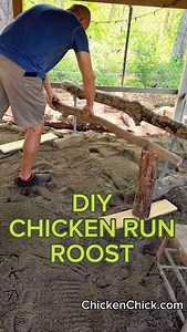 14K reactions · 186 comments | EASY chicken DIY! If you build it, they will roost! #backyardchickens #petchickens #chickens #chickenkeeping #diy | The Chicken Chick | Facebook