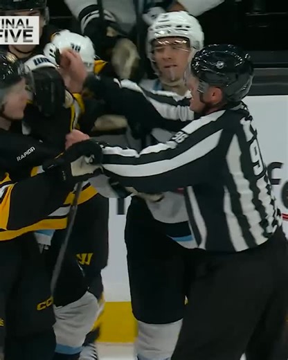 boston bruins brawl