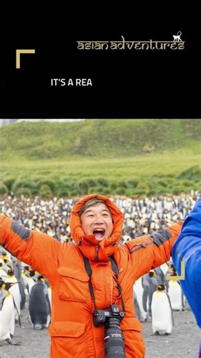 This Is How You Do Antarctica Right | Real Expedition Landings & Wildlife