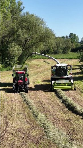 Unglaubliche Ernte-Power! CASE IH 844 & Jaguar 960 im Einsatz 🌱 #SummerOfGoals