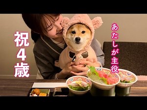 We had a grand celebration for the birthday of our adorable dog, who is like a child to us!