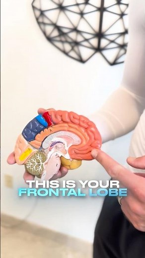 Frontal Lobe Exercises To Boost Cognitive Function 🧠🎯