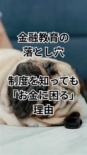 小金持ち 鼻つぶれパグ男 妻が趣味 on Instagram: "金融教育の落とし穴｜制度を知っても「お金に困る」理由 #金融教育 #お金の勉強 #新NISA #インフレ対策 #資産形成 #投資初心者 #金融リテラシー #お金に困らない人生 @hanatuburepaguo ブログ https://hanatsuburepaguoblog.com/ X https://x.com/smallrich_40 note https://note.com/hanatsuburepaguo Spotify https://open.spotify.com/show/5dRm8vSvIHxjwpX2BOzdll?si=volX2thcSemQJyGH0SEueg Apple ポットキャスト https://podcasts.apple.com/us/podcast/id1845558444 音声配信 https://stand.fm/channels/64c52bead4e2cbde2666c817 Amazon music https://music.amazon.com/podcasts/1