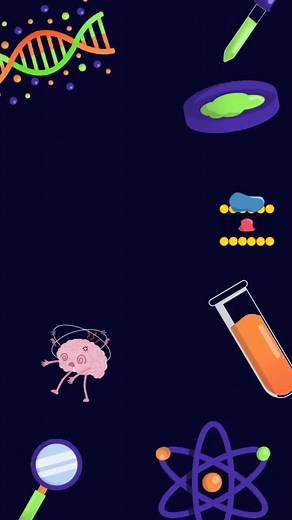 dolor de cabeza on TikTok