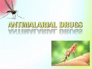ANTIMALARIAL DRUGS - SlideServe