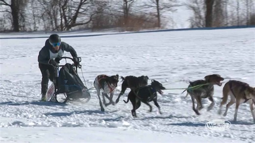 NH Chronicle: Laconia sled dog races