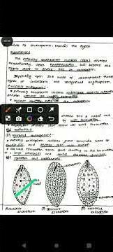 12th std Bio-Botany public Exam March-2027 Endosperm types of Endosperm Five marks Question