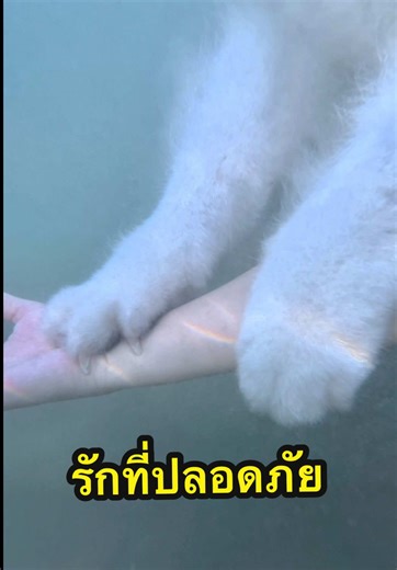 แม่คนนี้จะคอยจับมือ คอยประคอง และเป็นพื้นที่ปลอดภัยสำหรับหนูตลอดไป 🩵 รักหนูที่สุดเลยมะลิ