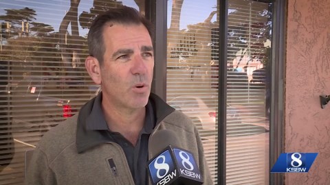 Marina considers extending ban on new gun shops