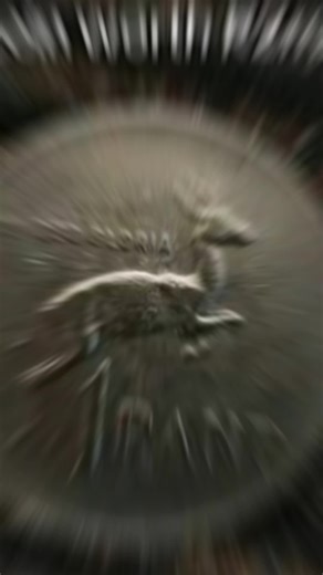 #Fypvira #southmandelacolouge#southafric#fypviralシ