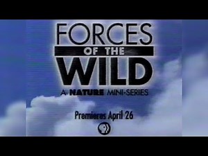 90's Promos - WBGU PBS April 12th, 1998