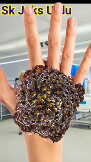 11K views · 53 reactions | ASMR animation hand washing treatment ASMR part 1 | SK Joks Urdu | Facebook