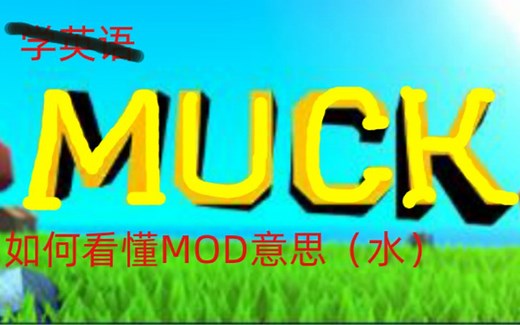 【MUCK】如何看懂MOD是啥？（水你继续水）